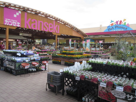 ホームセンターカンセキ若草店 販売の募集詳細