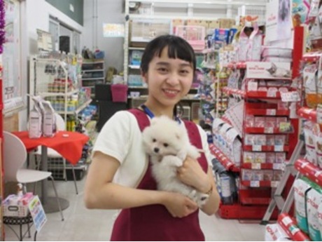 ホームセンターカンセキ真岡店 レジの募集詳細