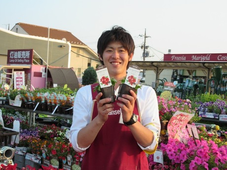 ホームセンターカンセキ真岡店 販売の募集詳細